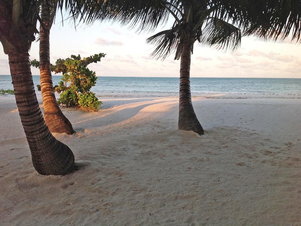 Bay Hotel 5*